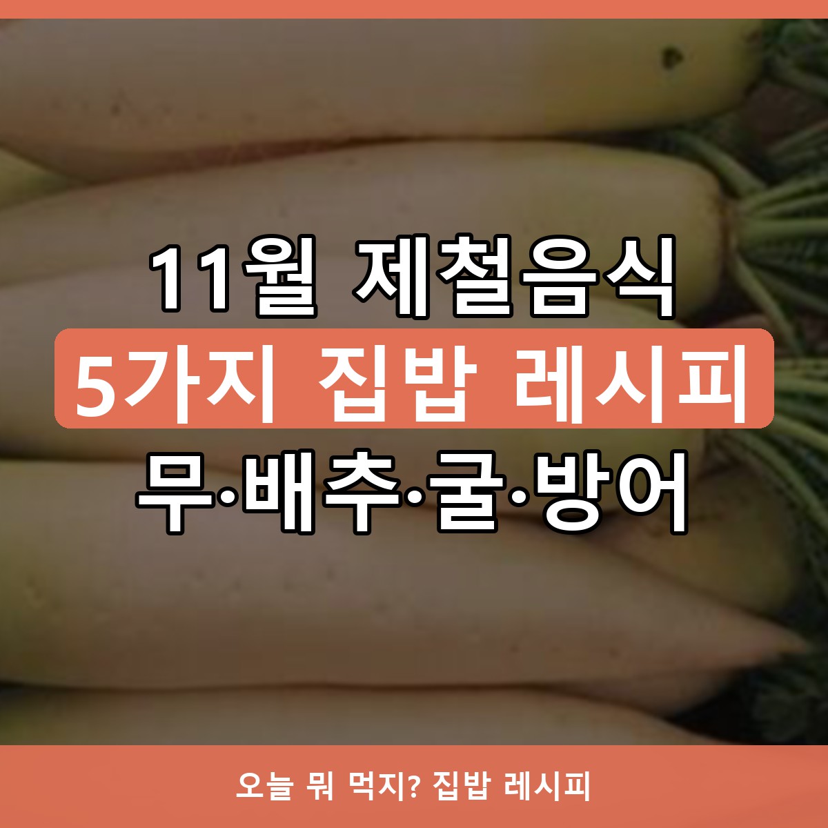 11월 제철음식 5가지와 간단 레시피, 무·배추·굴·방어·늙은호박 집밥