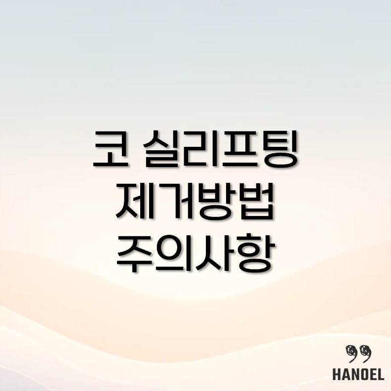 코 실리프팅