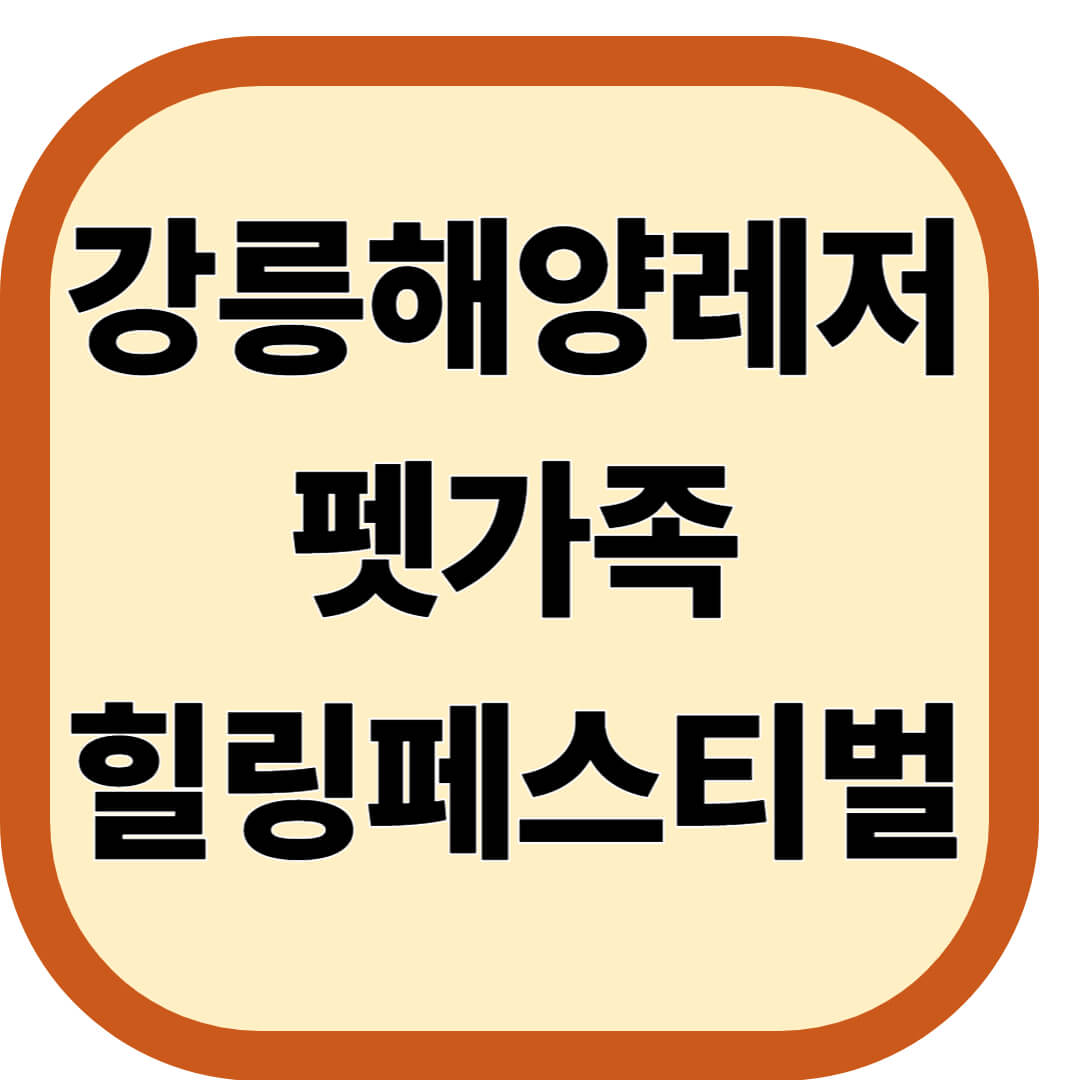 강릉해양레저 펫가족 힐링페스티벌