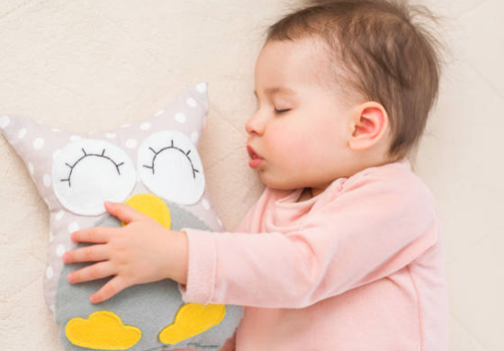 개월별 낮잠시간