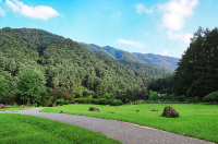 아이와 가평 가볼만한곳 추천 아침고요수목원