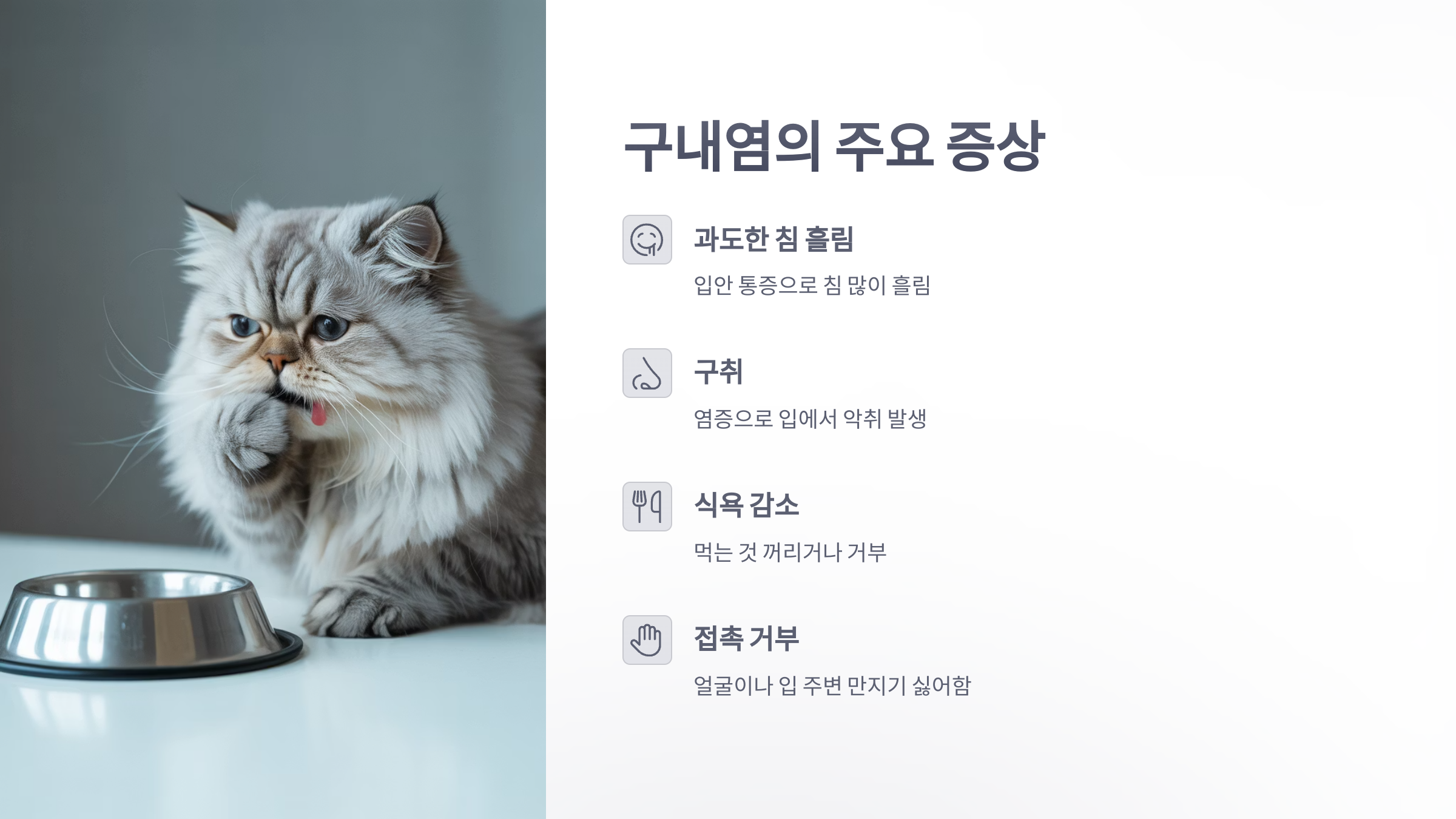 참조-고양이-구내염-2