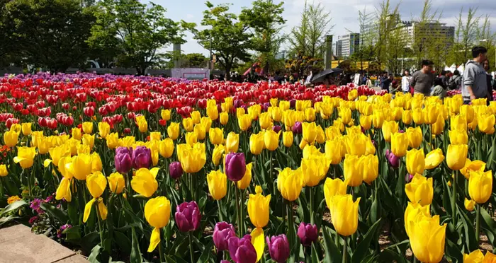 고양 국제 꽃박람회