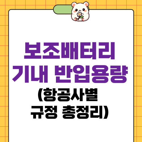 보조배터리 기내 반입용량