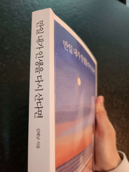 만일 내가 인생을 다시 산다면 표지