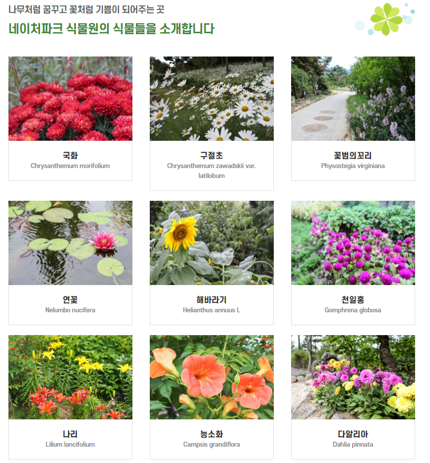 네이처파크 플라워페스티벌 주차 맛집 꿀팁 총정리