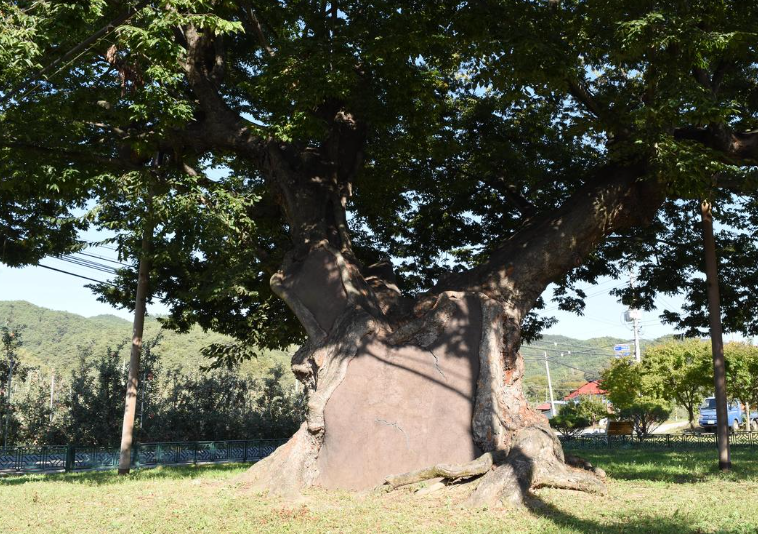 청송-가볼만한곳