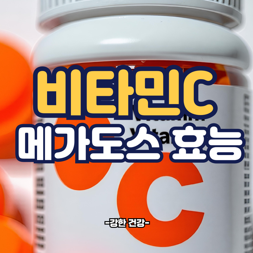 비타민c 메가도스 효능