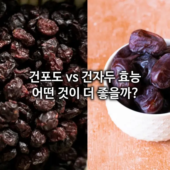 건포도 vs 건자두 효능 어떤 것이 좋나?