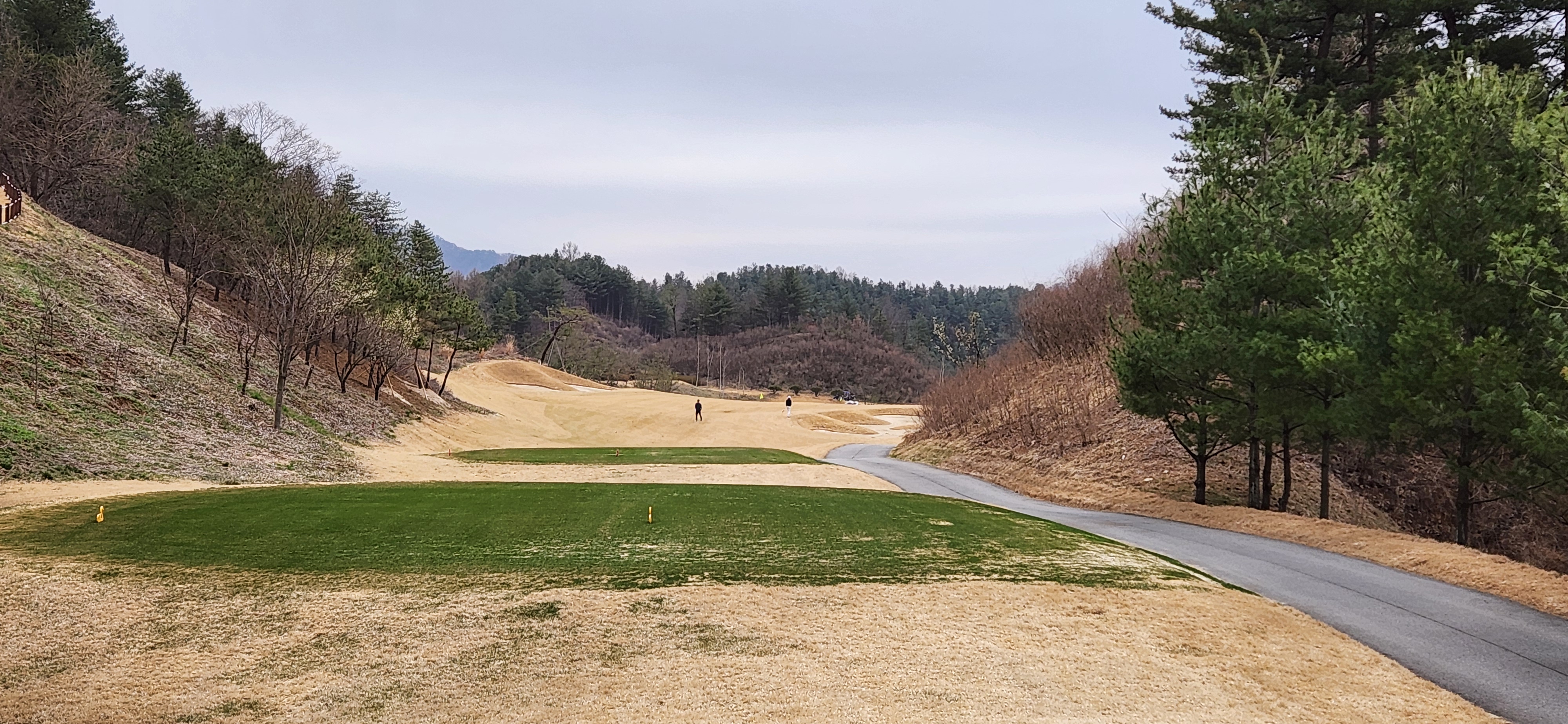 베뉴지cc