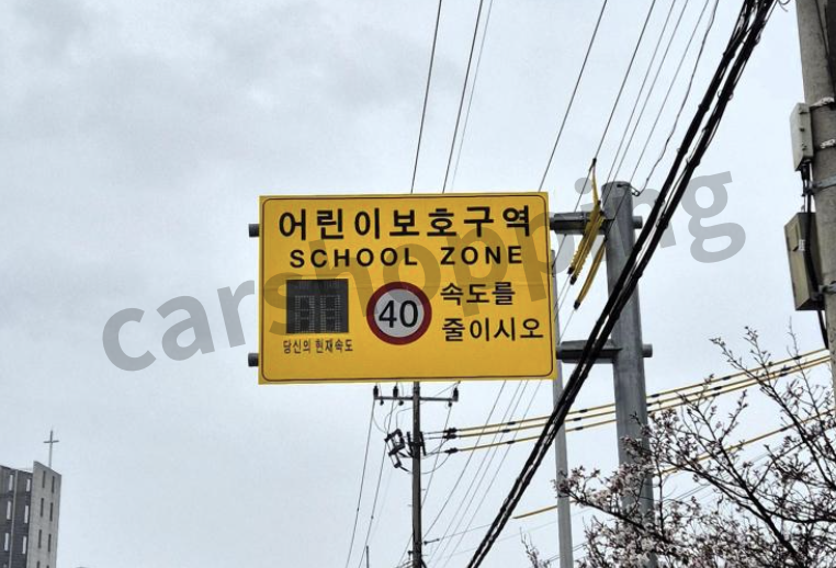 어린이보호구역 주정차 위반