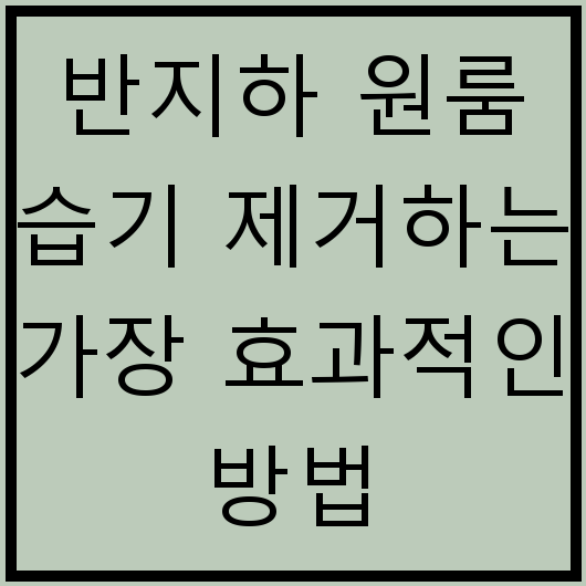 반지하 원룸 습기 제거하는 가장 효과적인 방법
