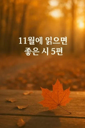 "11월의