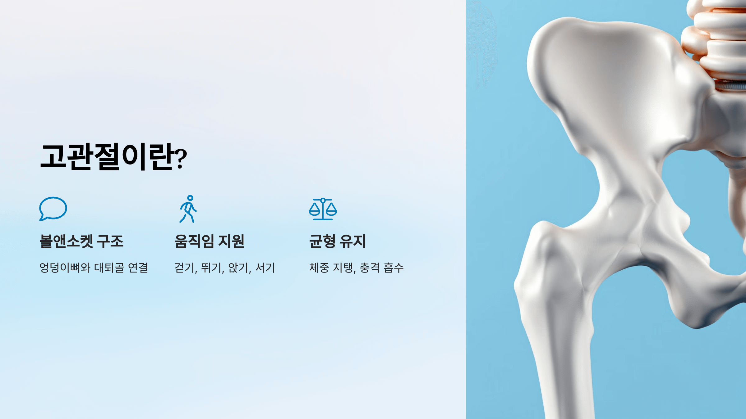 고관절 사진입니다.