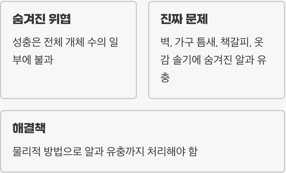 눈에 보이는 것이 전부가 아니다