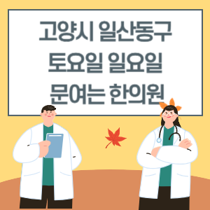 고양시 일산동구 토요일 일요일 한의원 진료 문여는 병원 리스트