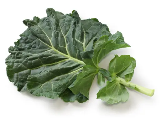 루테인 지아잔틴 많은 음식&amp;#44; 눈 건강에 좋은 음식