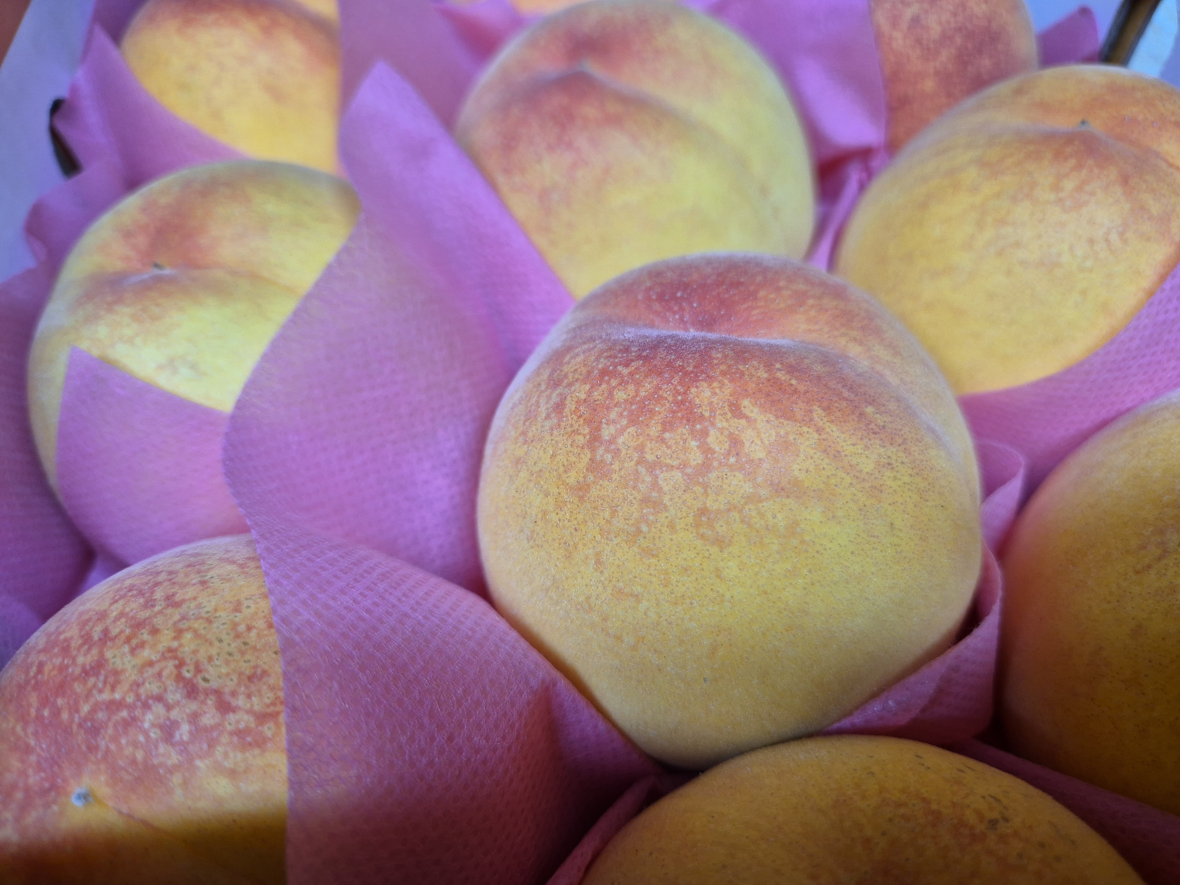 냄새가 정말 망고향이 나긴함