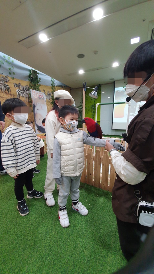 앵무새-팔체험