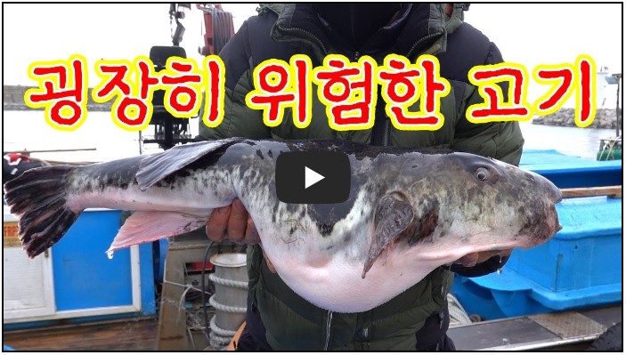 낚시 유튜버 순위 TOP 10 4