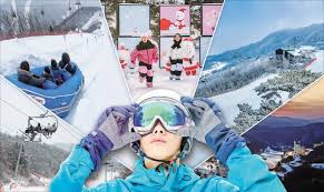 2025-2026 스키장 개장 예정일 총정리