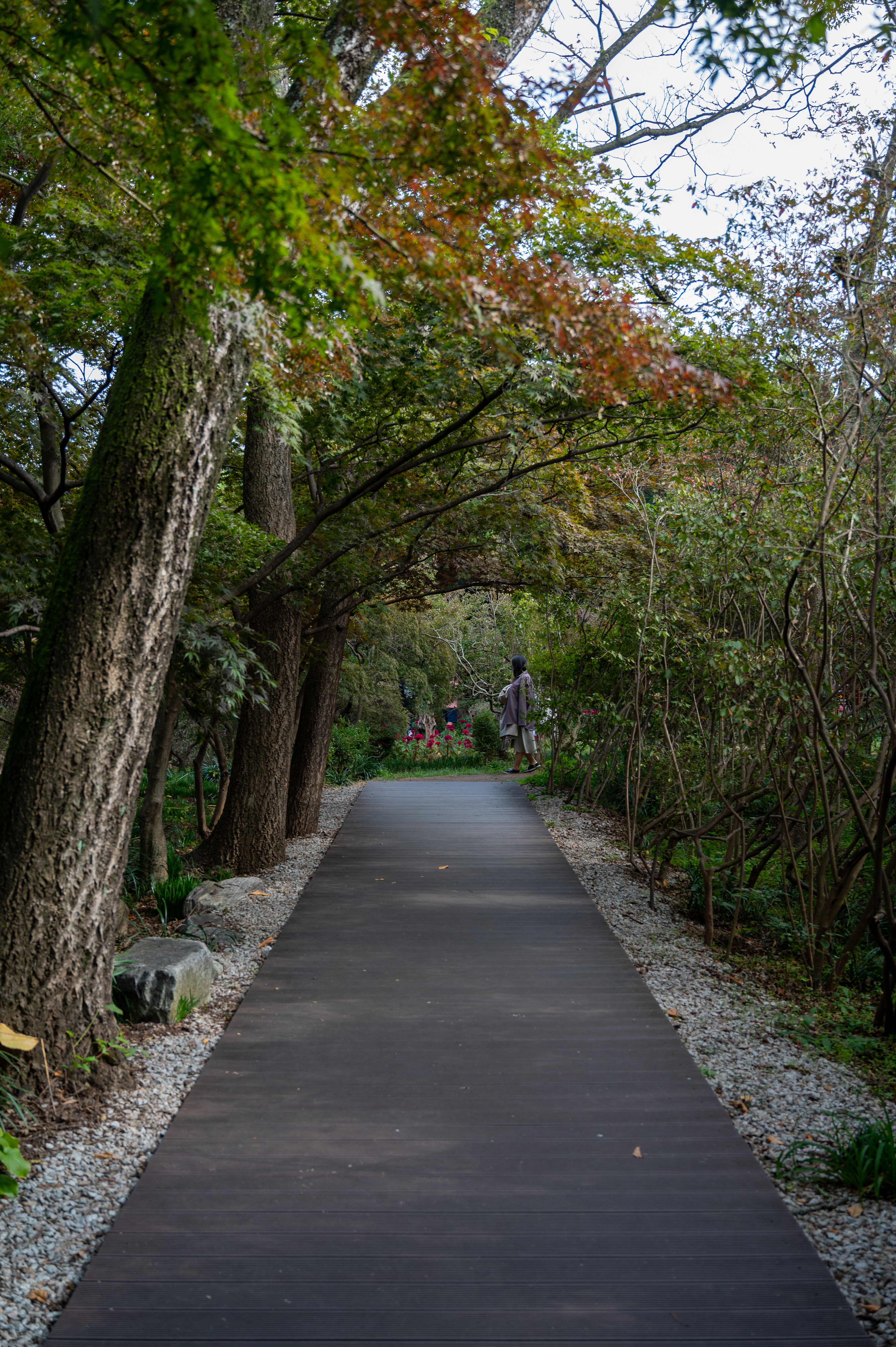 ์๊ฐํ ์ ์