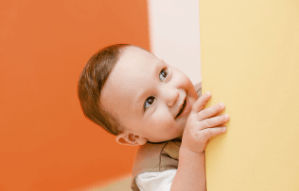 유치원 우선모집