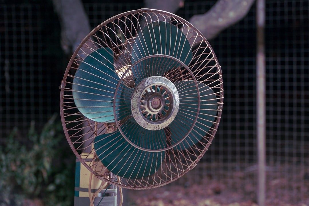 Fan