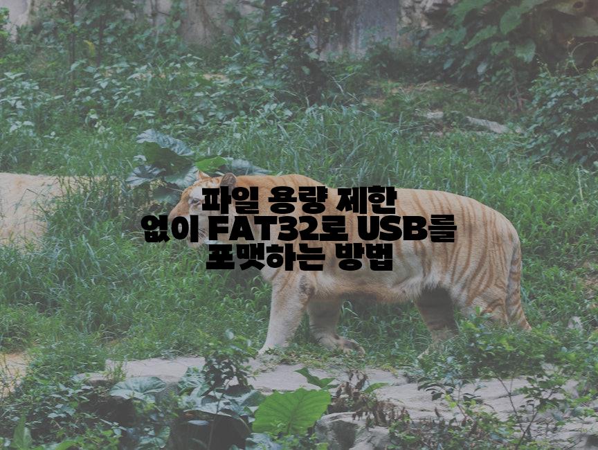 파일 용량 제한 없이 FAT32로 USB를 포맷하는 방법