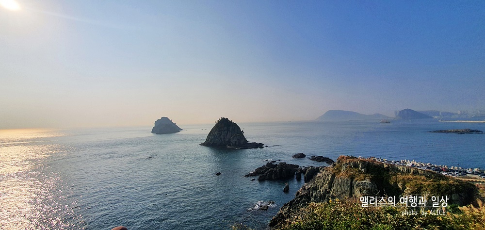 아고다 6월 누구나 9% 할인코드 (~12.31) + 부산 가볼만한곳 무료 입장 추천