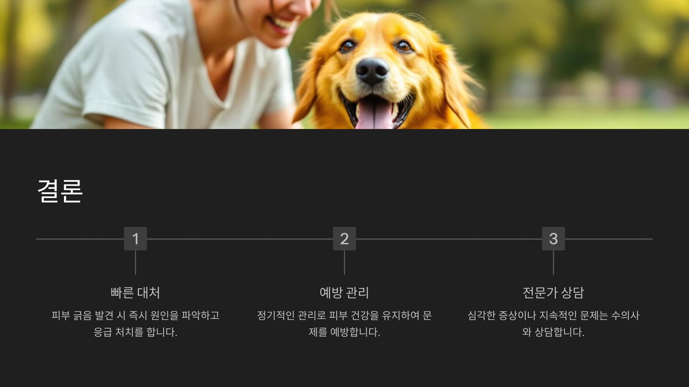 강아지가 피부를 긁어서 피가 날 때 대처 방법