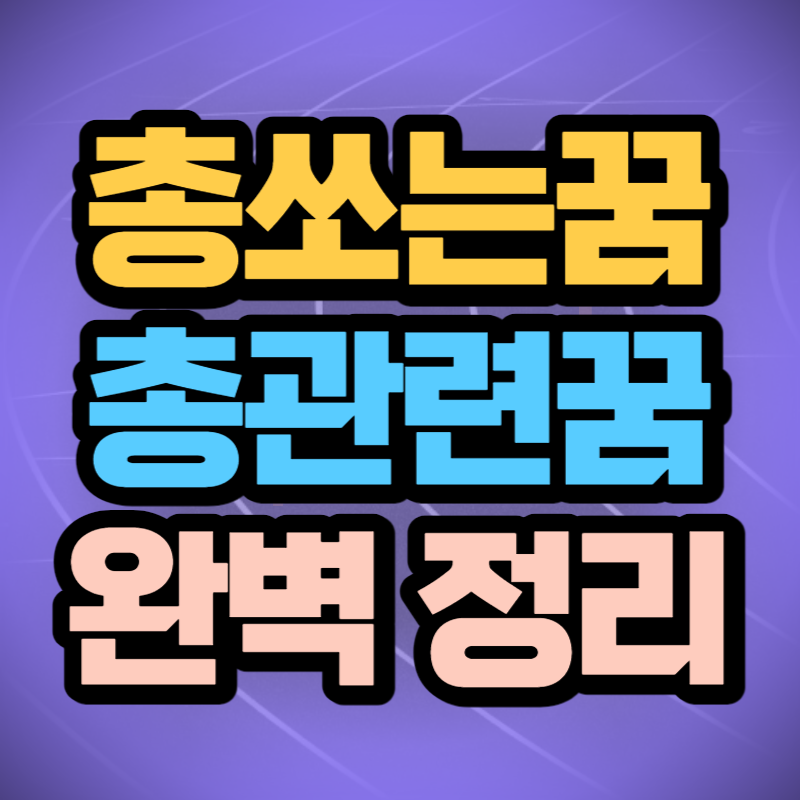 총 쏘는 꿈 해몽 (1)