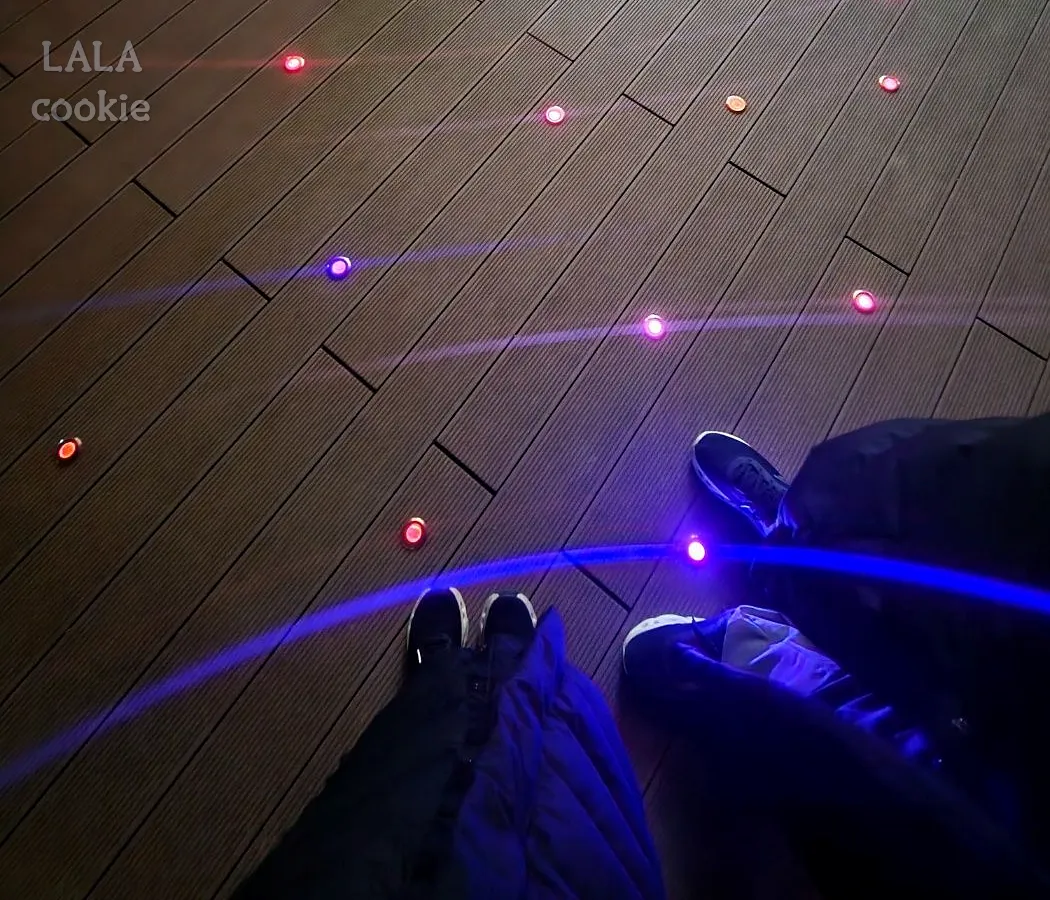 대구-야경-송해공원-바닥의-조명