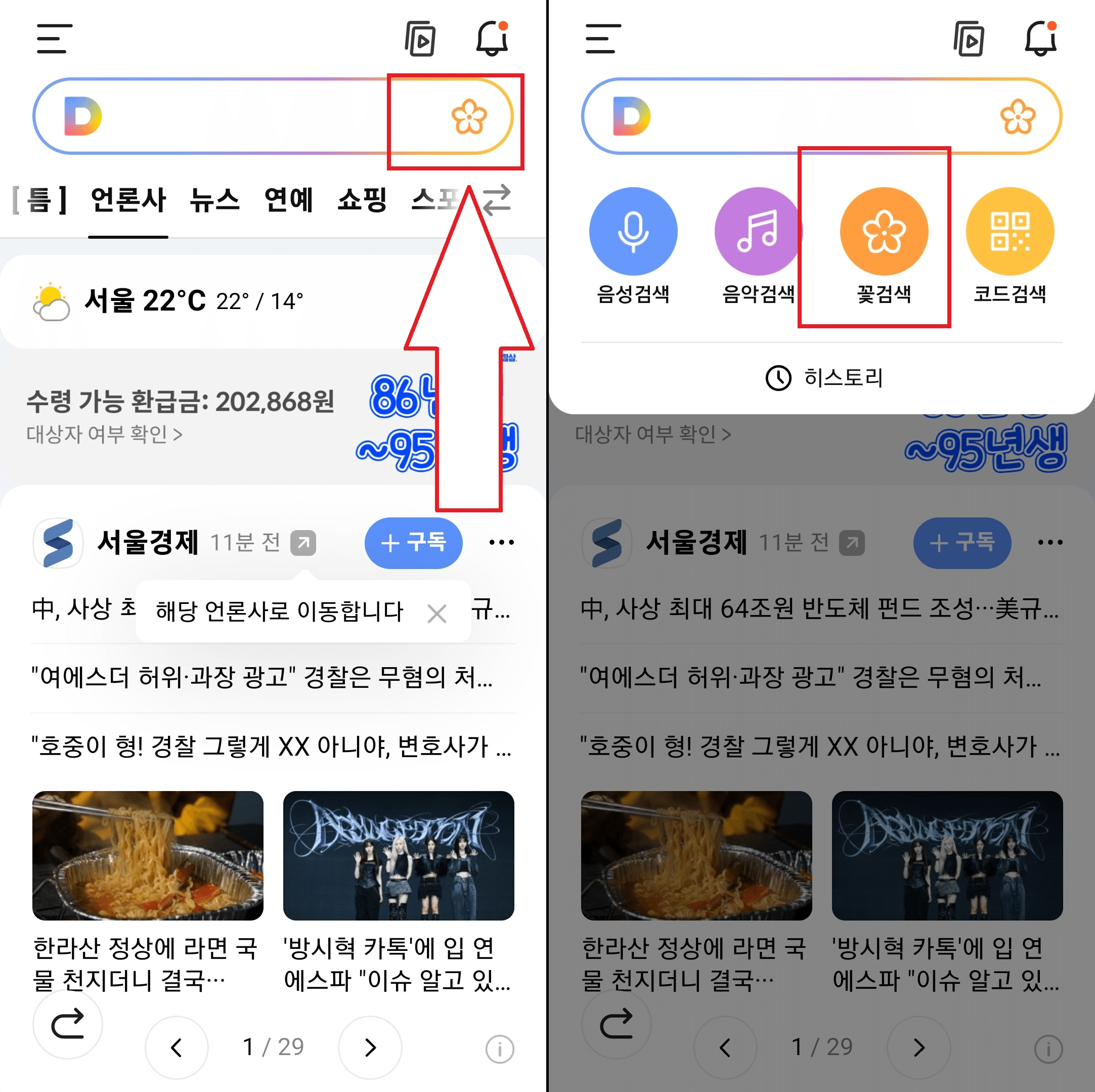 다음 앱에서 사진으로 꽃 이름 찾기