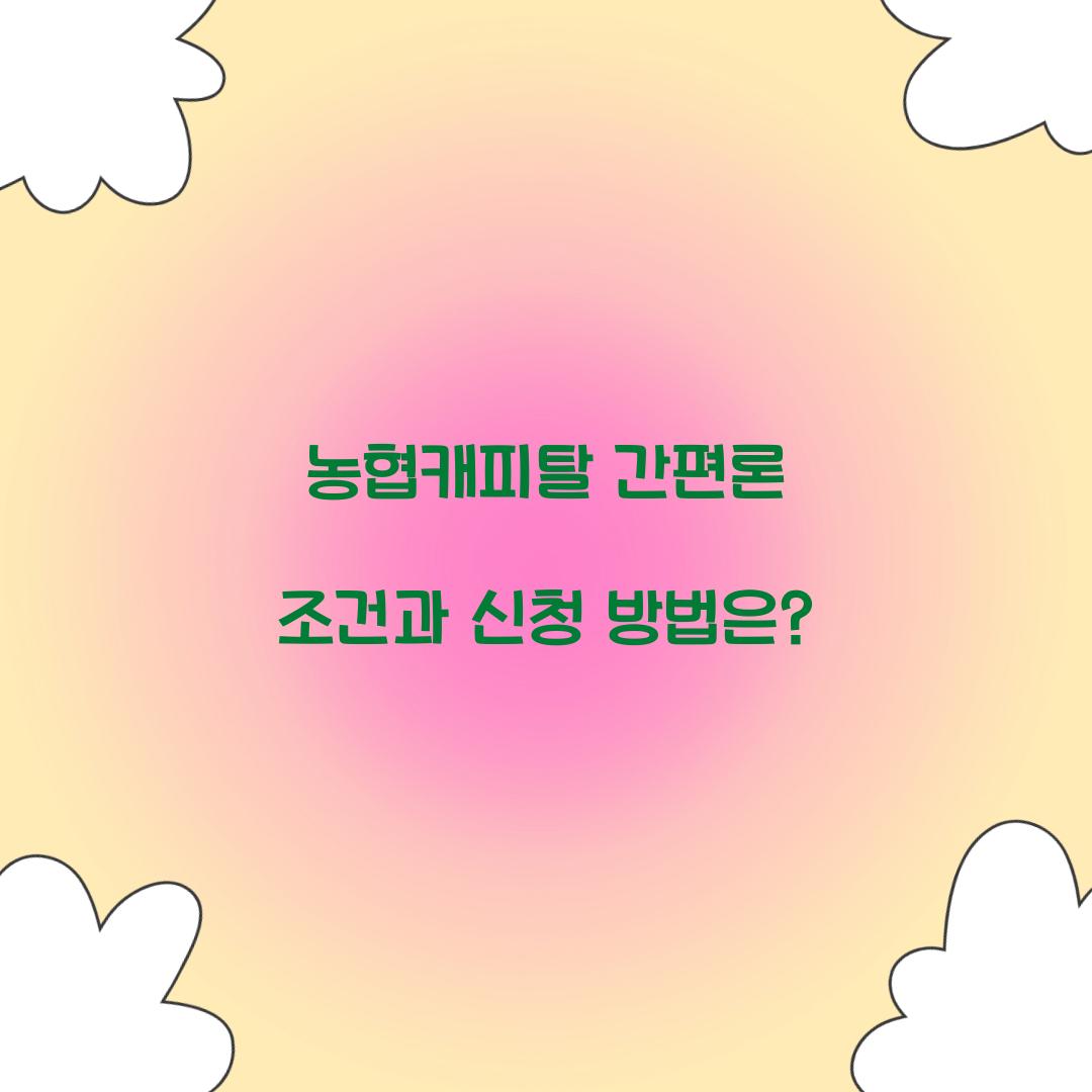 농협캐피탈 간편론