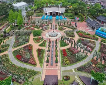 곡성 장미축제_2