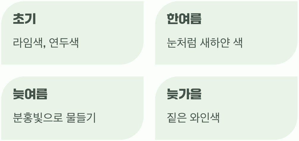 시간이 그리는 마법, 꽃 색의 변화