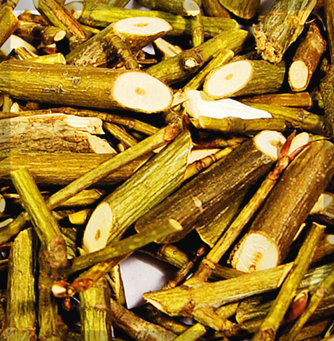 벌나무 효능&#44; 부작용&#44; 끓이는 법 3분 총정리