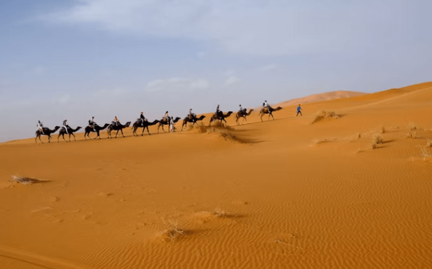 꿈의 도시 두바이, 자유여행으로 200% 즐기는 완벽 가이드!