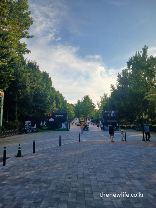 Back entrance of Seoul Children&rsquo;s Grand Park with tree-lined promenade/나무길이 이어진 서울 어린이대공원 후문 풍경