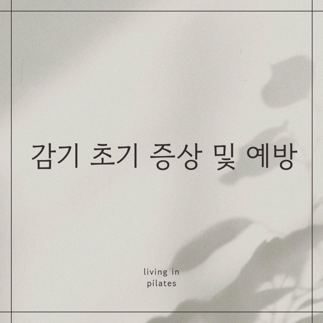 감기초기증상 및 예방