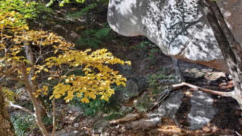 설악산_단풍여행_총정리