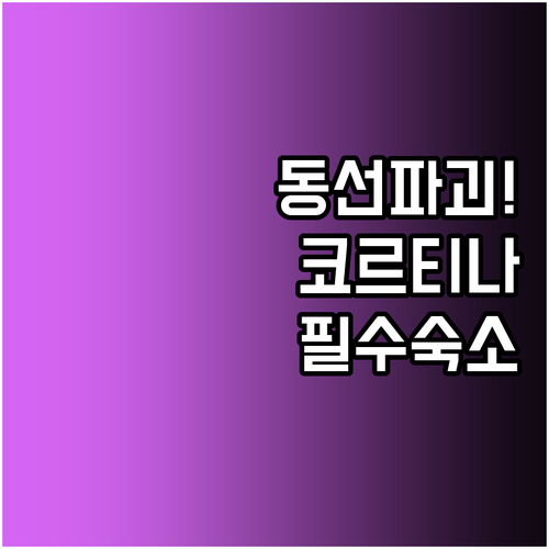 경기 종목별 동선을 고려한 코르티나 ..