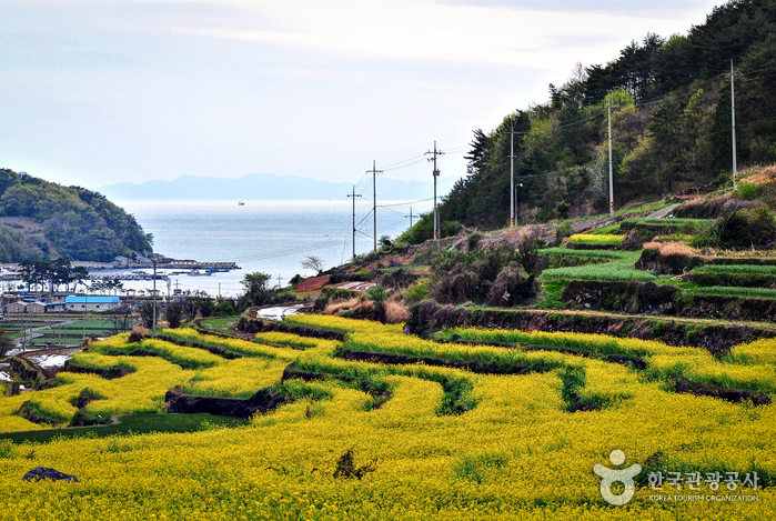 영화 '소풍' 의 촬영지 남해