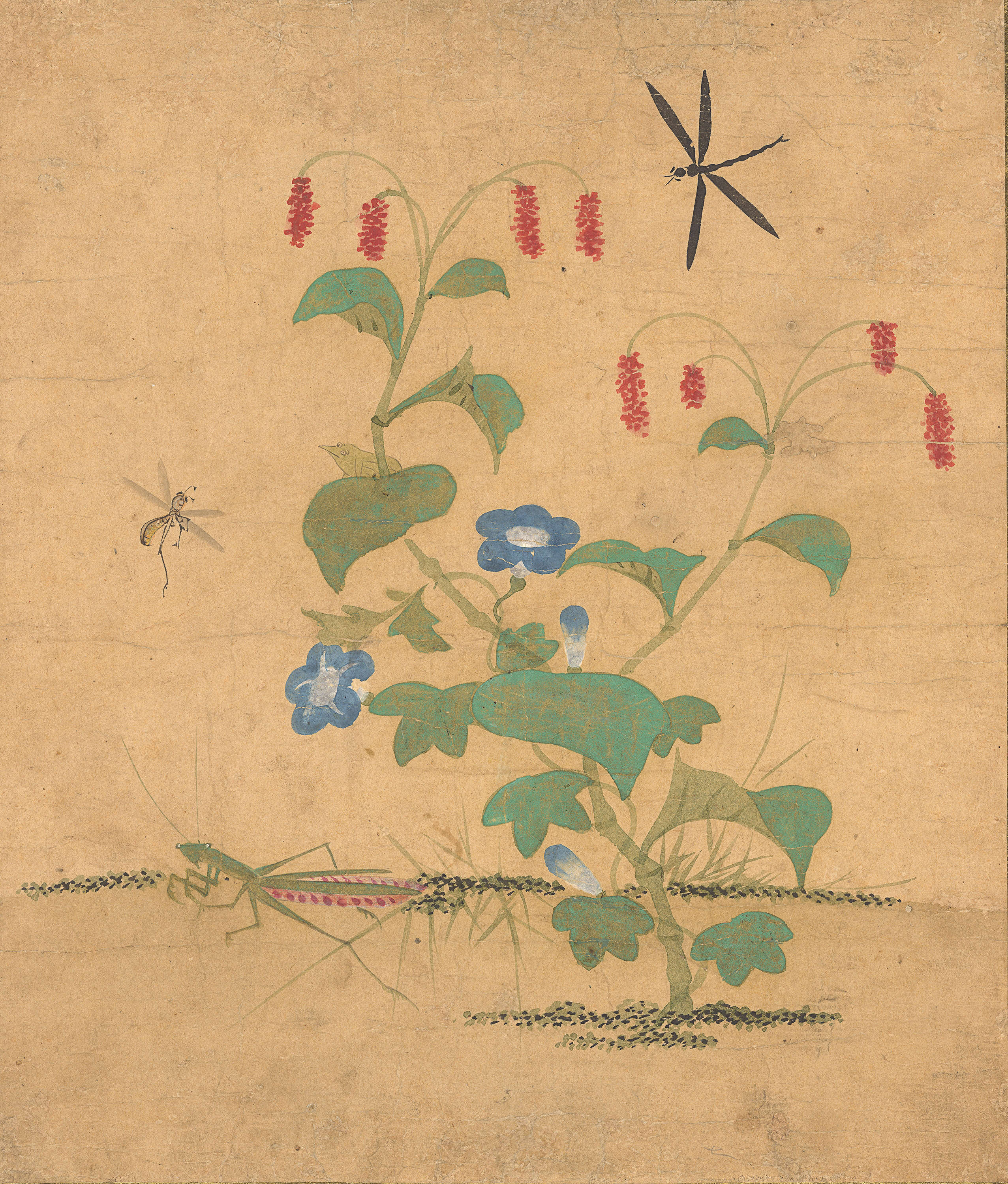 신사임당필 초충도(傳申師任堂筆草蟲圖)