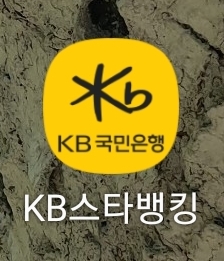 KB스타뱅킹 앱 이미지