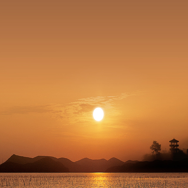 2026 돼지띠 신년운세