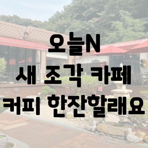 오늘N 새 조각 카페 커피 한잔할래요