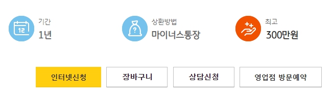 1년간 최대 300만원 사용가능