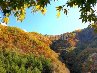 가을 단풍여행 베스트 명소 시니어 추천 코스 완벽 가이드_21